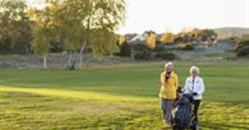 Difference Between Gross Vs. Net Golf Scores in Golf